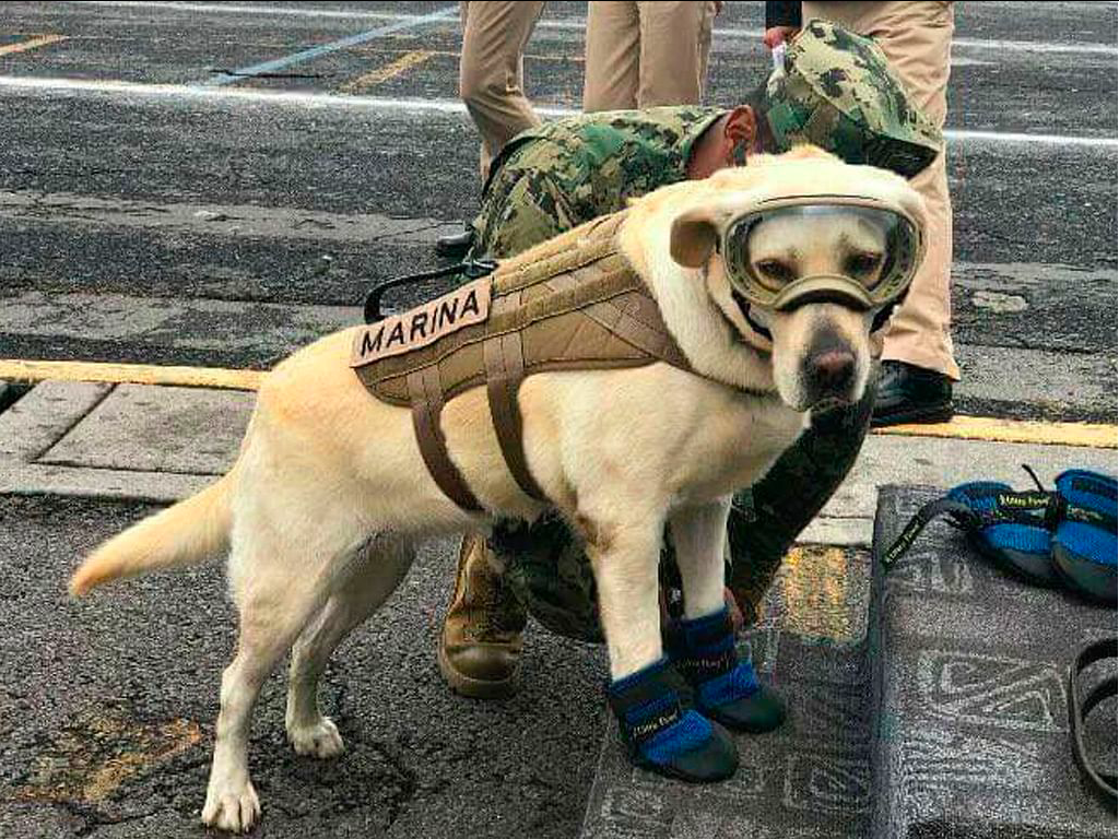 <php echo $entry->entry_title;?>